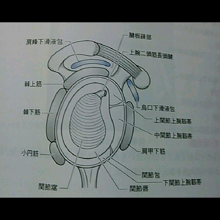 imgG52583416_1421915021650